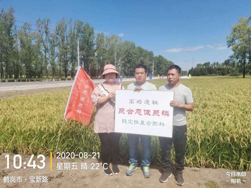 ͨ�ķ��r�Ƹ����;��׏ͺϷ���ˮ���ϵ�Ч�����F(xi��n)