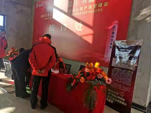 ����_������|����ʡ����